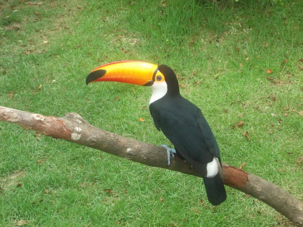 Tacuara Lodge Obera Luaran gambar